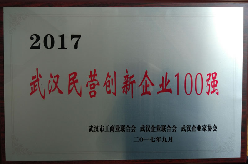 武汉市民营创新企业100强